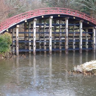 輪橋が掛かる鏡池は凍っていましたが、氷の下でも鯉（？）たちが泳いでいました。
この輪橋は、秀吉の側室、淀君が寄進したと伝わっているそうです。