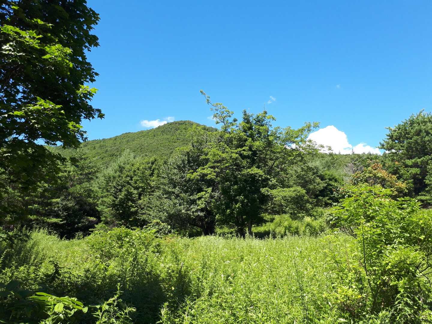 夏はお勧めしない「穴目ヶ岳」 / papachuの登山データ | YAMAP / ヤマップ