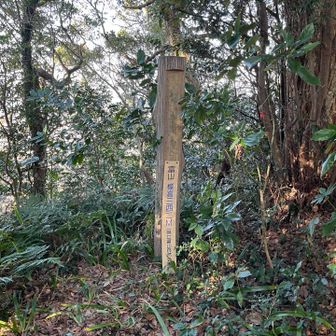 山頂標識はこれ☝️眺望なし