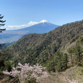 来て来てキクちゃん
