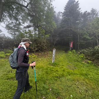 今度はすぐ反対にある台倉高山へ⛰️✨