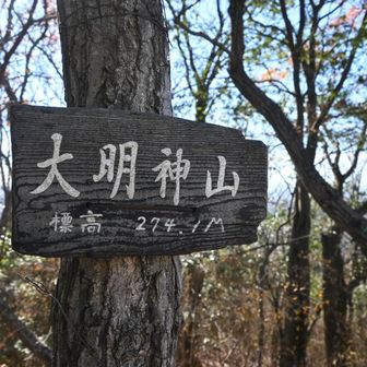 静かな山歩き。誰一人あいません。