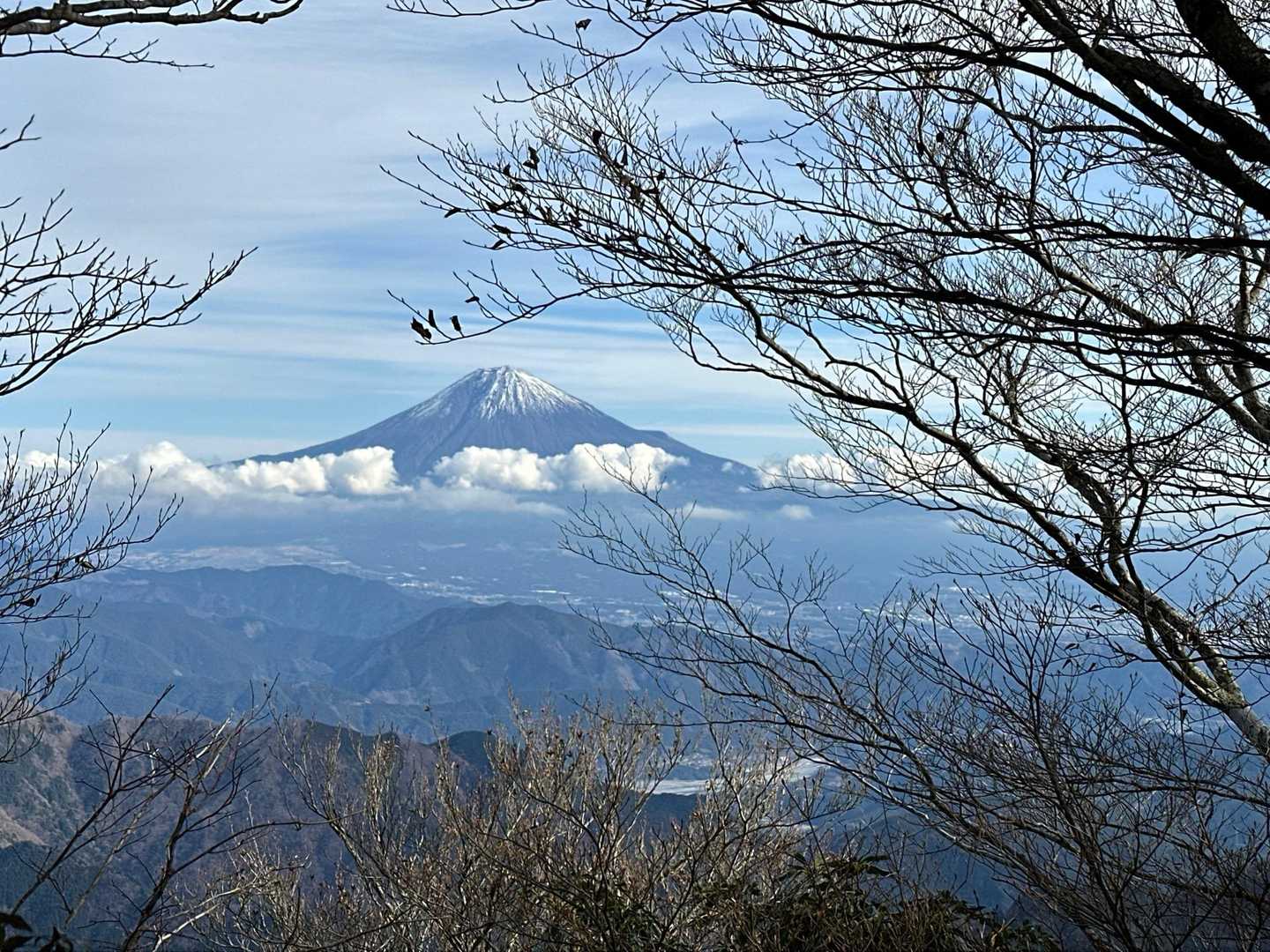 青笹山-細島峠 往復コースの写真