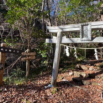 車で、花園神社🅿️に移動しました。
ここから、栄蔵室、花園山に登ります。✨✨
紅葉🍁は終わっていました。