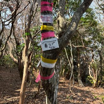 その後は迷子になりそうな道を通って南コブへ
YAMAPで調べてたら、みっちゃんがアドバイスしてくれてた✨