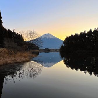 逆さ富士。

田貫湖のこの場所は湾のようになっているので波が立ちづらいのです👍
カメラオヤジの聖地です。