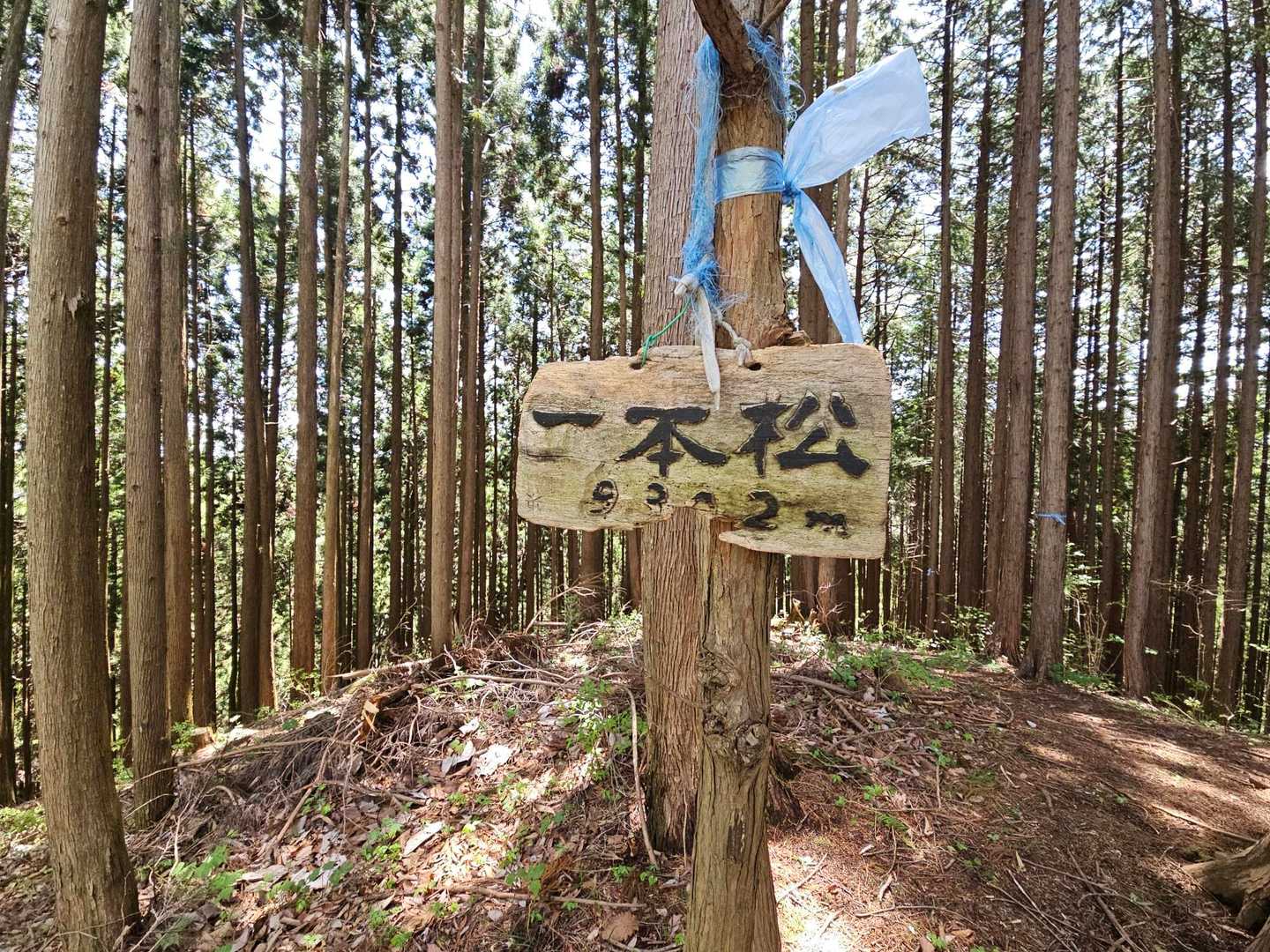 グレピ③
ここはグレピとは思えないほど道が出来てました
