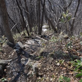 三倉の大下りには☃️はほとんど残っていませんでした