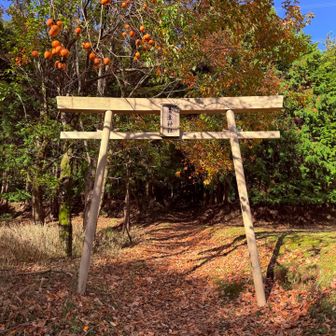 去年は無かった青葉神社の鳥居⛩️
最近建ったのか新しい