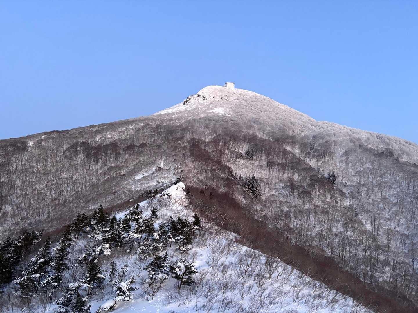 奥のが釜臥山
手前のとんがりに祠があるので参拝に行きます