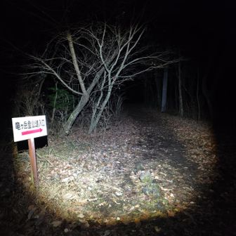 ヘッデンの灯りを頼りに。