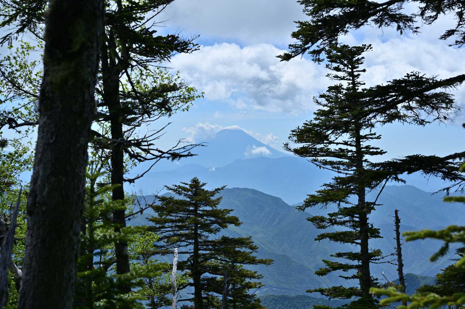 やっと富士山。