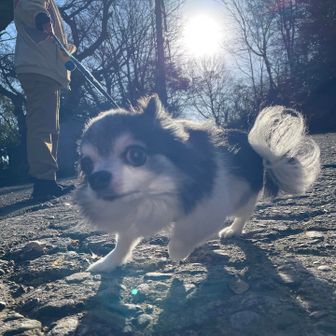 近くに寄ってくるふうたくん😆