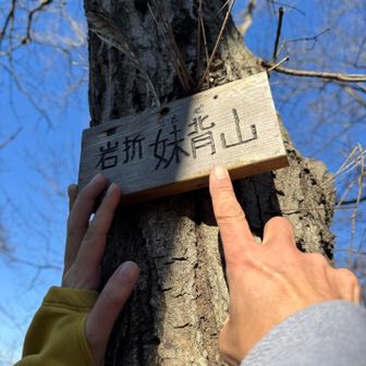 ここへくる登り口が見つからなくて
結局直登した私達😤
十五座目　岩折妹背山タッチ👆👆
山頂で踏み跡みつけました😅
帰りは楽に下山しよう🤗
