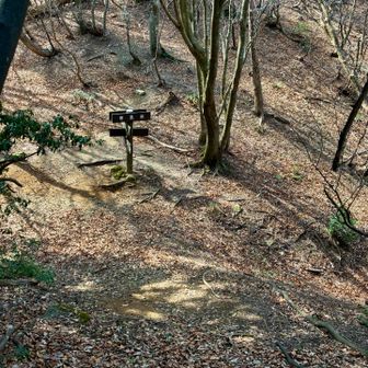 寒風峠（さむかぜとうげ）に降って来ました。