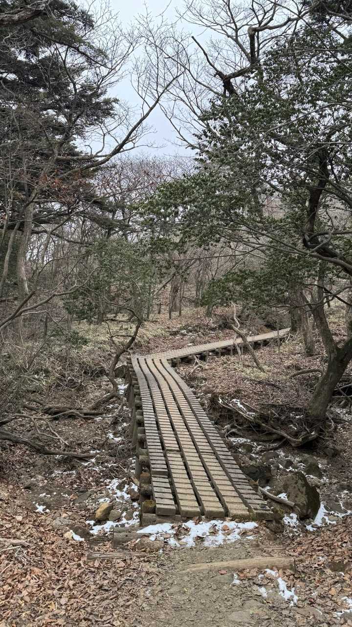 韓国岳（霧島山）・大浪池周回／鹿児島遠征Day2 の写真 10