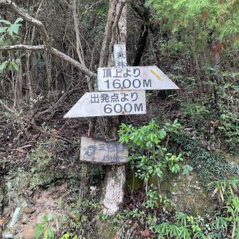 3号目の分岐、右からの急登コースを歩きました