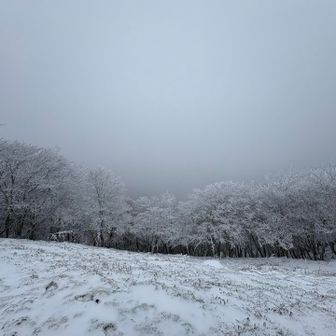 こちらも展望なし