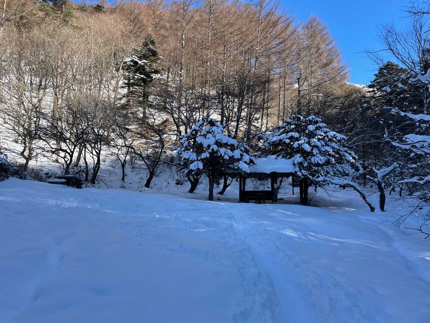 右奥に進みます。
帰りは左側に降りて来ます😊