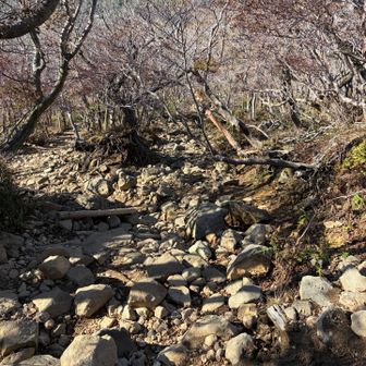油断したらすぐ挫く下山