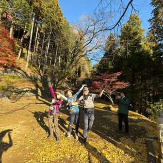 コムギンさん、しっかりカメラ目線
ナイス👍