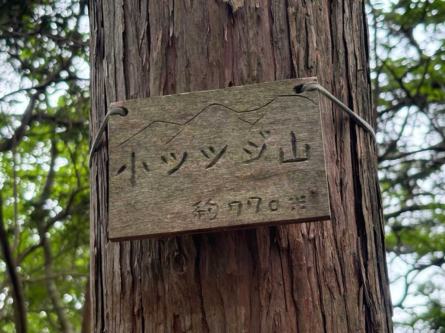 小ツツジ山とーちゃく
ツツジは咲いてないが‥