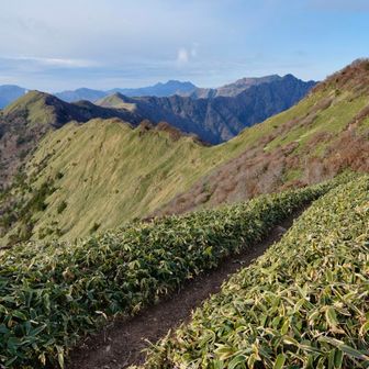 東黒森まで縦走🚶‍♂️