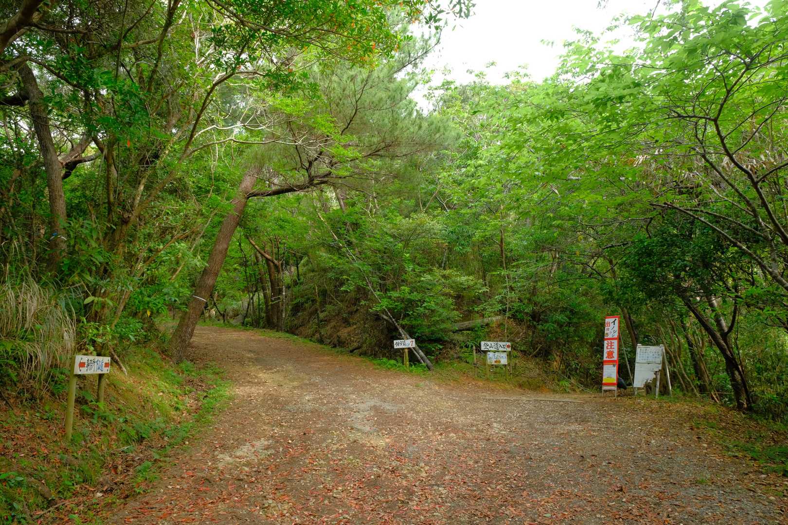 受付で入山手続きを済ませたら、案内板に従って登山口へ。『石川岳』の登山ルートは大きく分けて『Aコース』、『Bコース』、『Cコース』の三つが存在するが、順路はいずれも同所の分岐を右側へ進む形となる。
