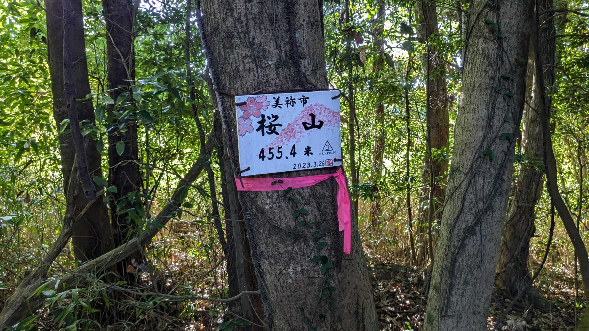桜山 往復コースの写真