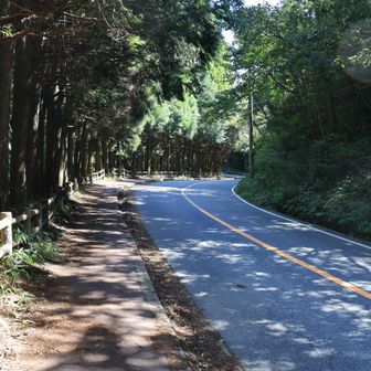 こんな道が続きます。