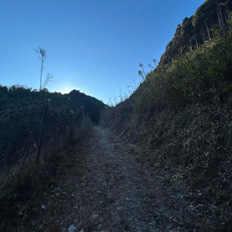 千代みどり森駐車場からの登り始め。よく整備されています。