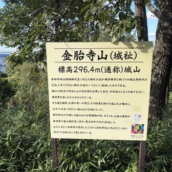 ピーク✅
