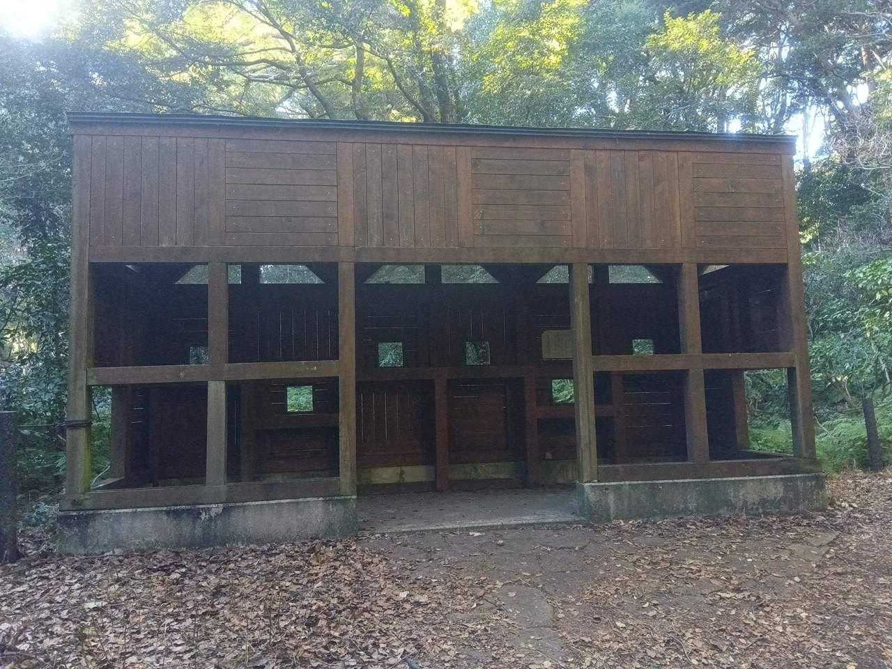 野鳥観察小屋ありました