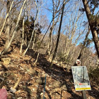 そして、本日のミッション❣️