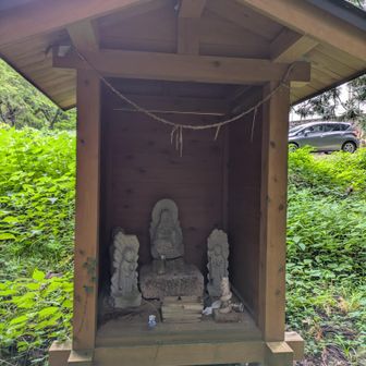 こっちは正直あんま見たことない