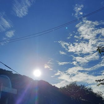 お日様浴びて気持ちいい❗