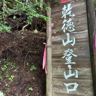 ここからもずっと急登です😅