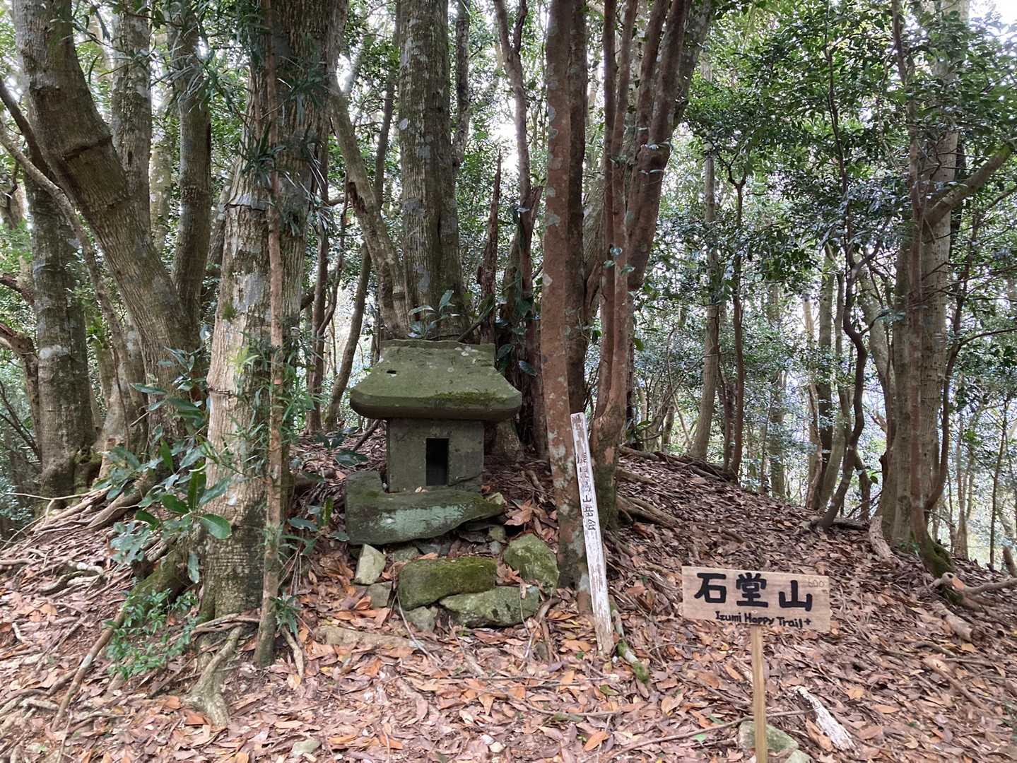 3分は切れたかな
石堂山登頂🙌
標高600.0ｍ　キリがイイ‼️