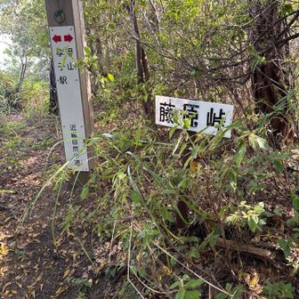 ここからもう一座行こうか迷い
時間が時間なので取りやめて駅へ