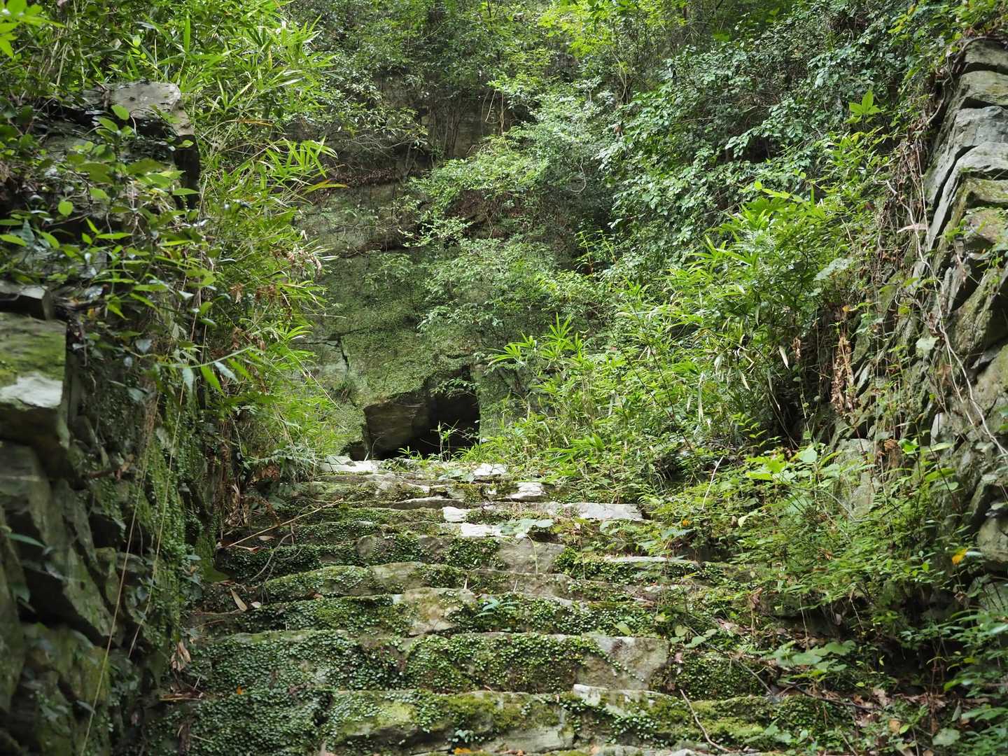奥宮か🙏
これ以降から山道っぽくなる