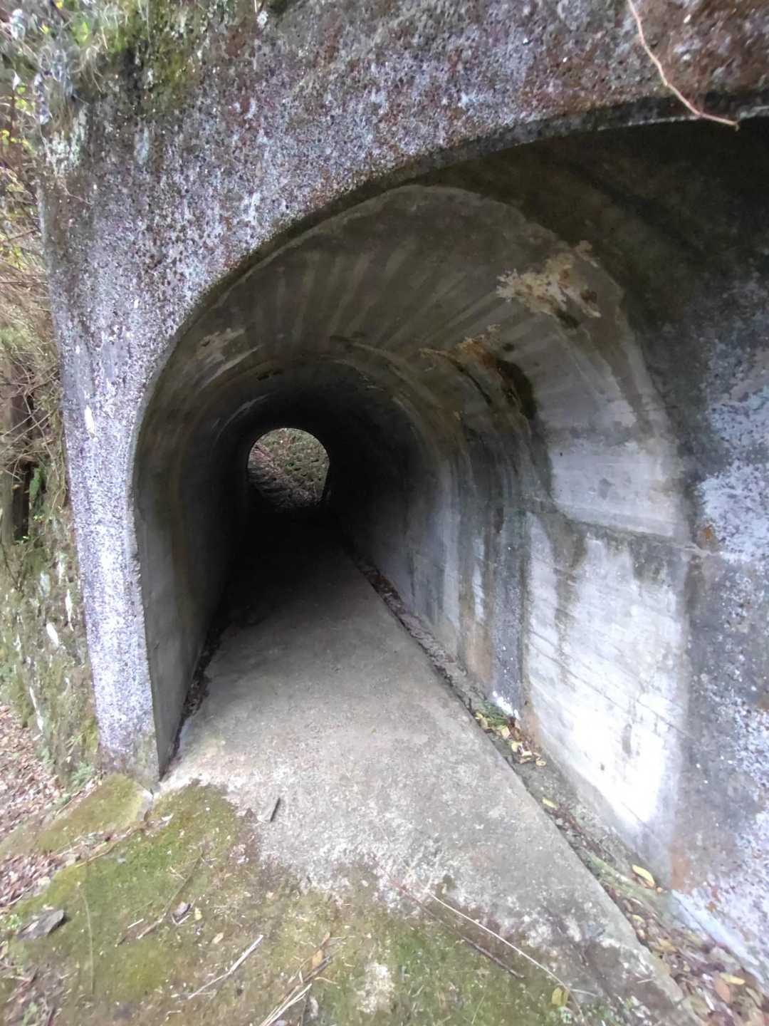 辻ヶ峰 往復コースの写真