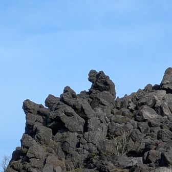 ゴリラ🦍岩やて！
