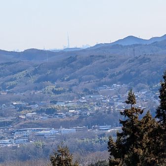 Pixel10pro
光学10倍でツリーキャッチ