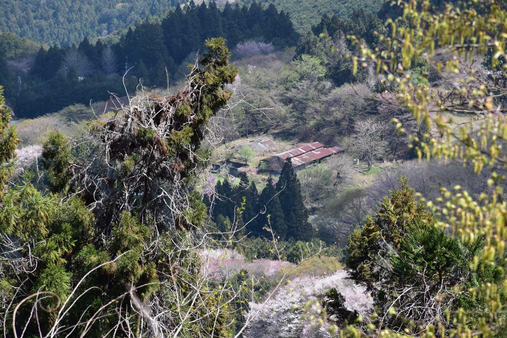 正丸駅-旧正丸峠-虚空蔵峠-二子山-七曲り峠-カバ岳-大野 縦走コースの写真