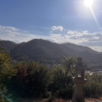 来年夏に向けてぼちぼち始動