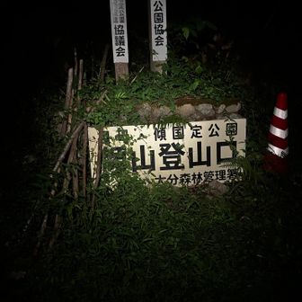 暗くなってね😂疲れました😓