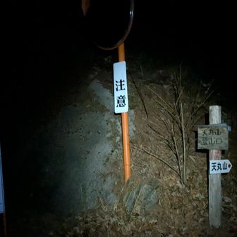 落ち葉が深いし、隠れ石車も多くてダメでした(´･_･`)

まあでも林道に着地したし、こりゃもう着いたようなもんでしょ！