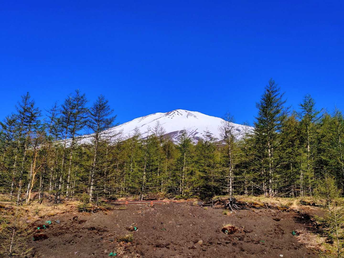 ※駐車場から富士山を見上げます