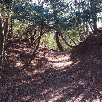 堀切。あとはほぼ一気に下りていきます。