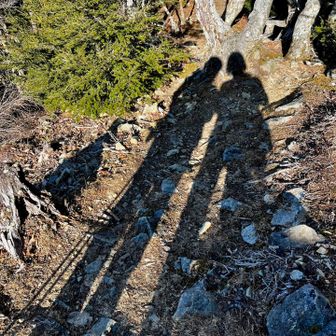 冬の長い影が並んでいるとキュンとします